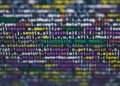 La inteligencia artificial y la transformacíom digital impulsan la productividad, pero las personas siguen marcando la diferencia en competencias.